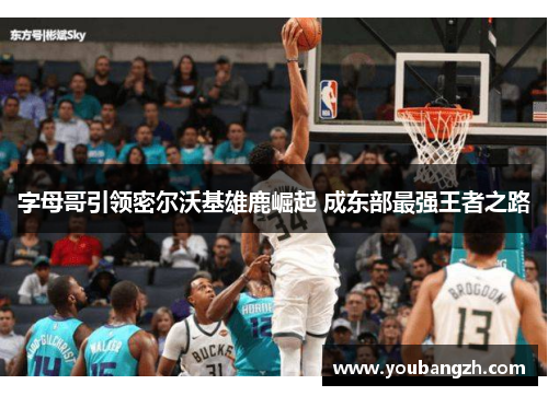 字母哥引领密尔沃基雄鹿崛起 成东部最强王者之路 字母哥引领密尔沃基雄鹿崛起 成东部最强王者之路