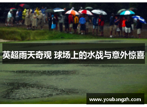 英超雨天奇观 球场上的水战与意外惊喜 英超雨天奇观 球场上的水战与意外惊喜